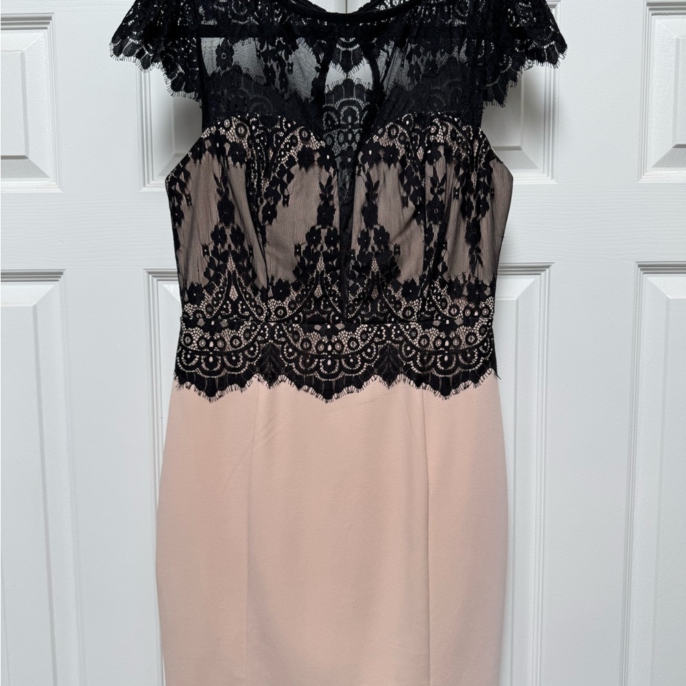 Nikibiki Black and light pink Lace Mini Dress